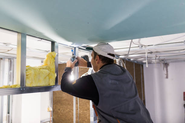 Professional Insulation Contractor in Lovelock, NV